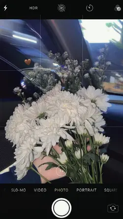 aesthetic