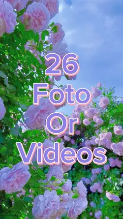 26 Foto Slides