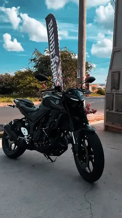 MT 03