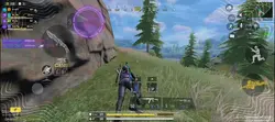 Br Highlights