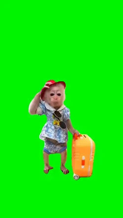 TOURIST MONKEY 