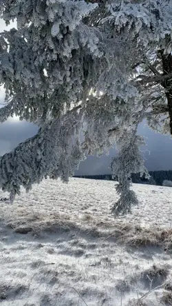 1 minutes neige