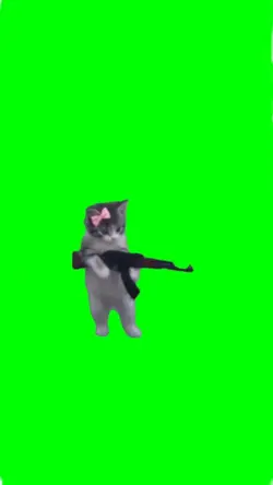 war cat meme