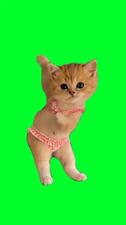 Hey macarena