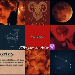 Aries template 