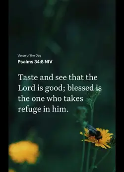 daily verse 