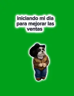parches pache