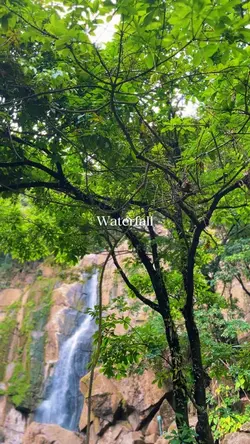 WATERFALL 6 CLIPS