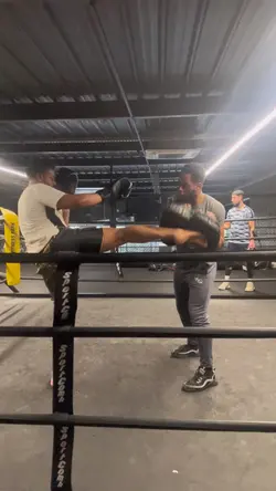 Training modèle 