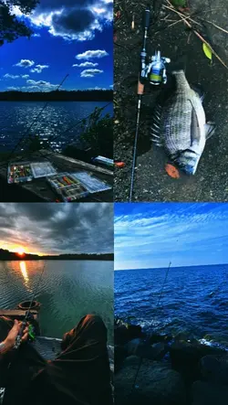 4 picture