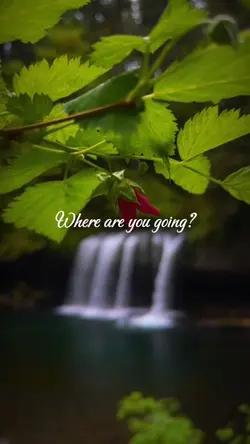 Where are you going?
