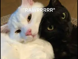 Dinosaur rawrr