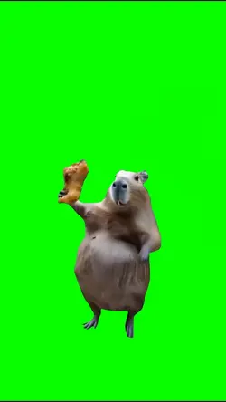 Green screen 