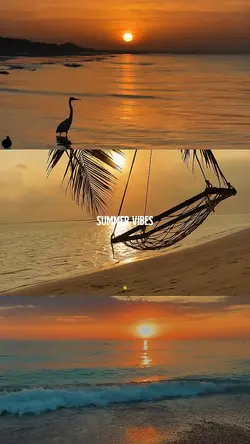 Summer vibes