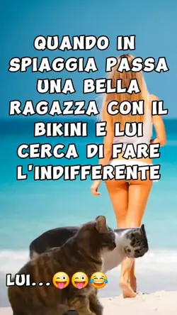 humor in spiaggia 