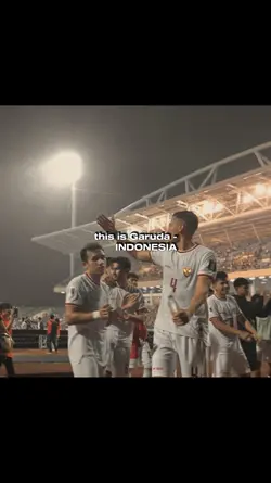 Story Timnas