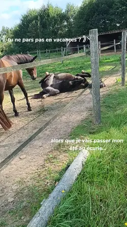 tjr au écurie 