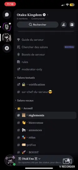Lien en commentaire 