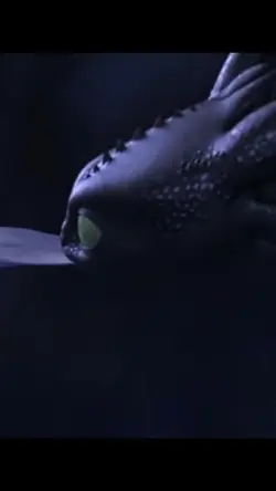 Freeze Frame