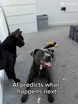 AI Predicts 😅