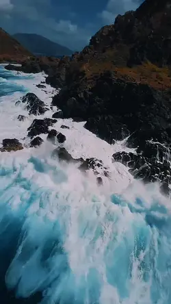 New vlog  