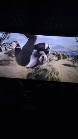 Cinema 