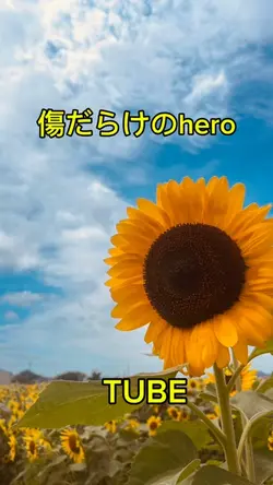 #TUBE#シンプル動画一枚#応援歌