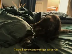 about you