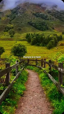 dunya is a test