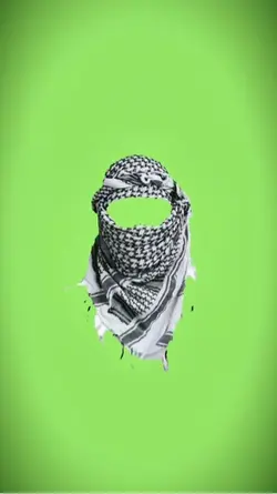 Trend habibi