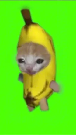 0.1秒のやつw