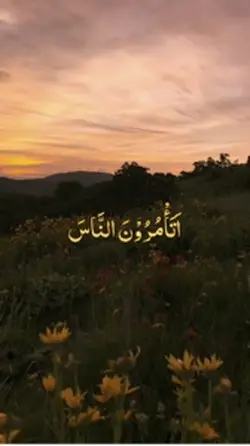 Quran verses