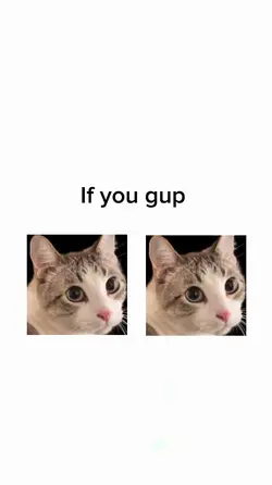 capcut do the thing
