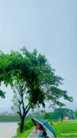 Vairal song ❤️❤️slowly