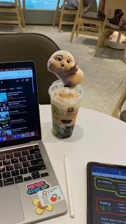 CUTE BEAR