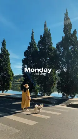 Monday mini vlog