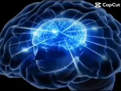 big brain moment