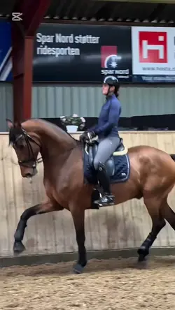 Dressage slomo