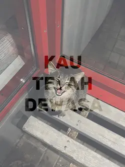 kutimang adikku