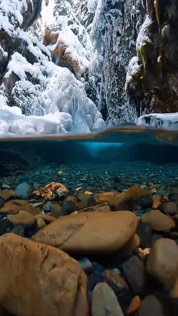 Aesthetic