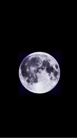 画像4枚🌙