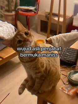 WUJUD ASLI PENJAHAT