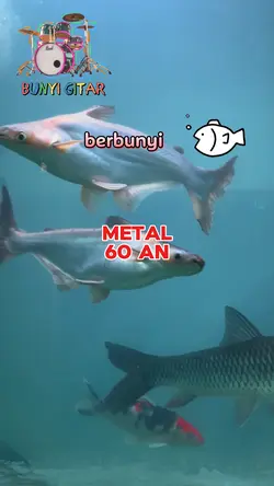 Bunyi gitar
