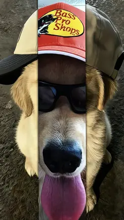 JJ 2 FOTO TREND