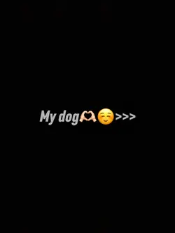 My dog <3