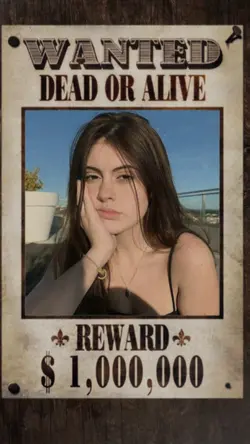Se busca