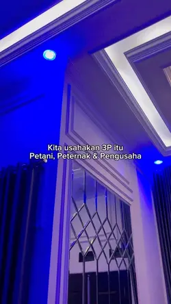 Story wa