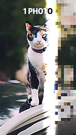 Blur AI FIlter
