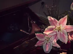 oh to see without