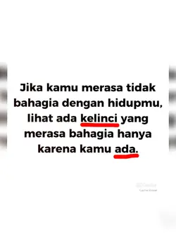 lihat ada kelinci yg